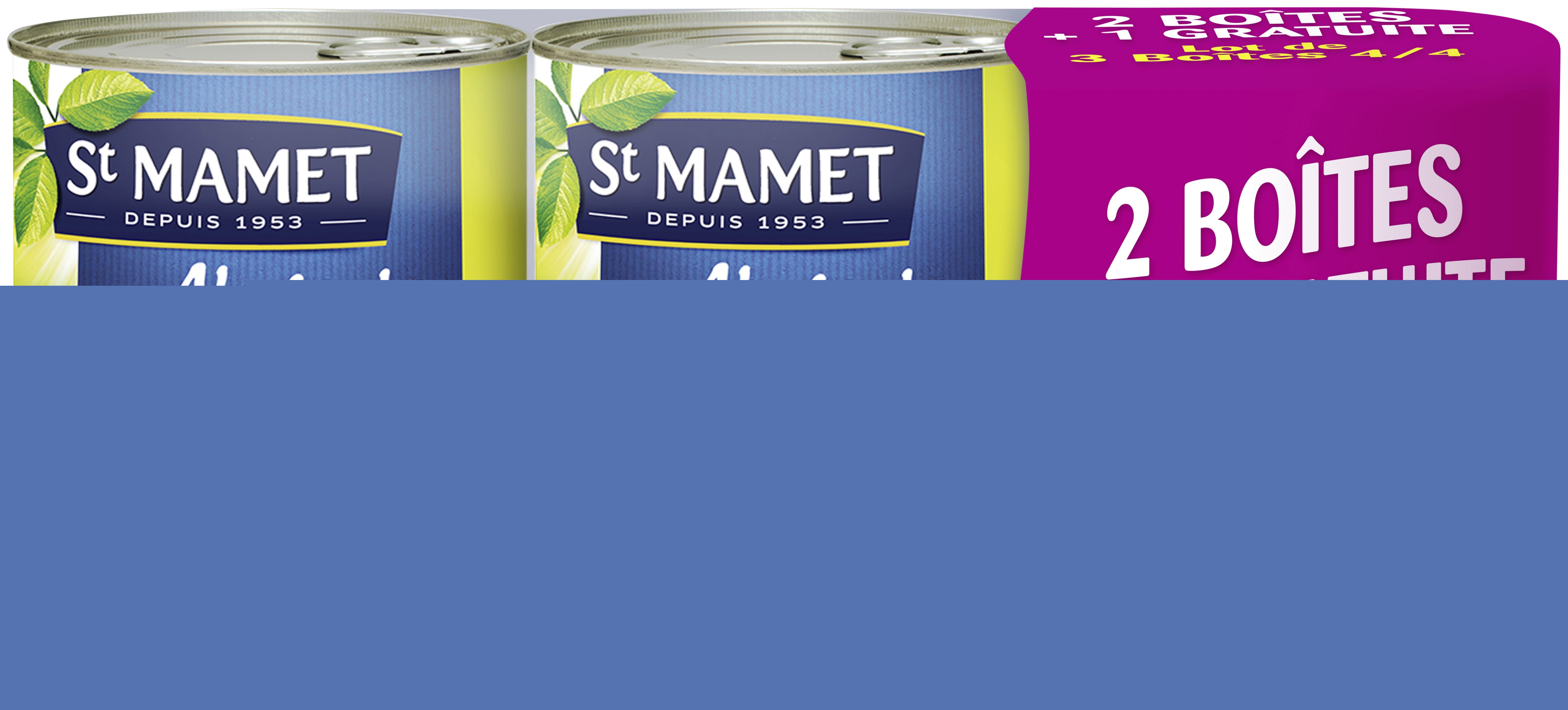 Abricots au sirop St Mamet