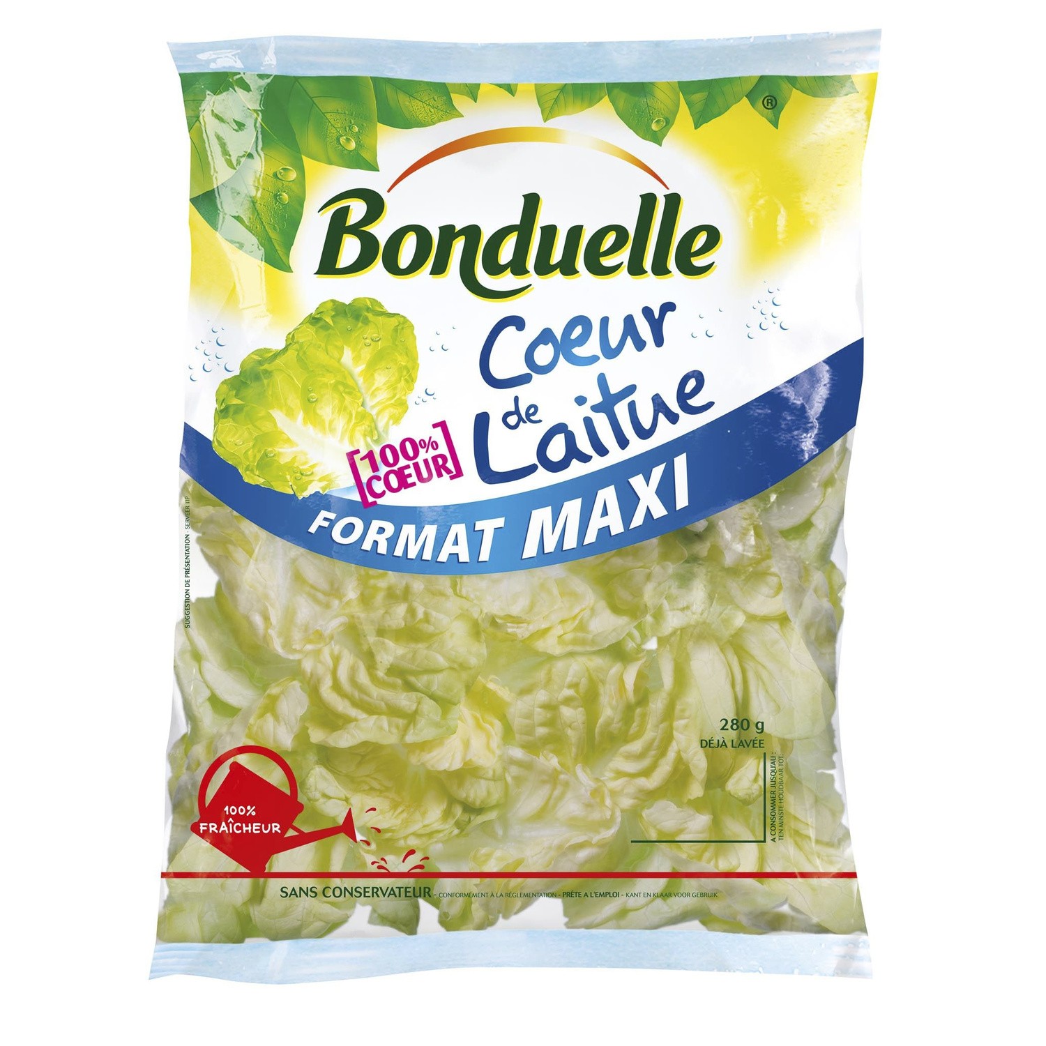 Salade cœur de laitue BONDUELLE 3083680482202 BONDUELLE Salade cœur de laitue BONDUELLE 3083680482202 BONDUELLE