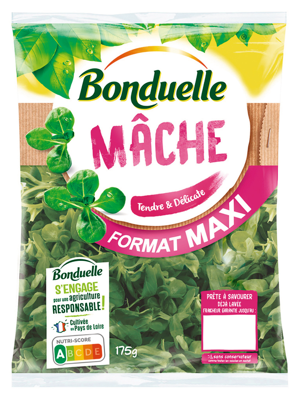 MÂCHE FORMAT MAXI bonduelle