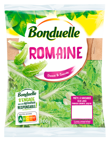 ROMAINE 
