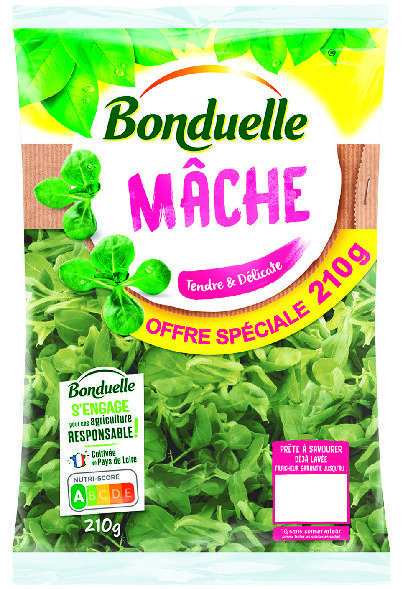 MÂCHE OFFRE SPÉCIALE  “BONDUELLE” 3083681023930 