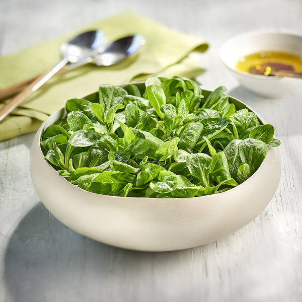  Mâche sans résidus BONDUELLE code EAN 3083681101690 