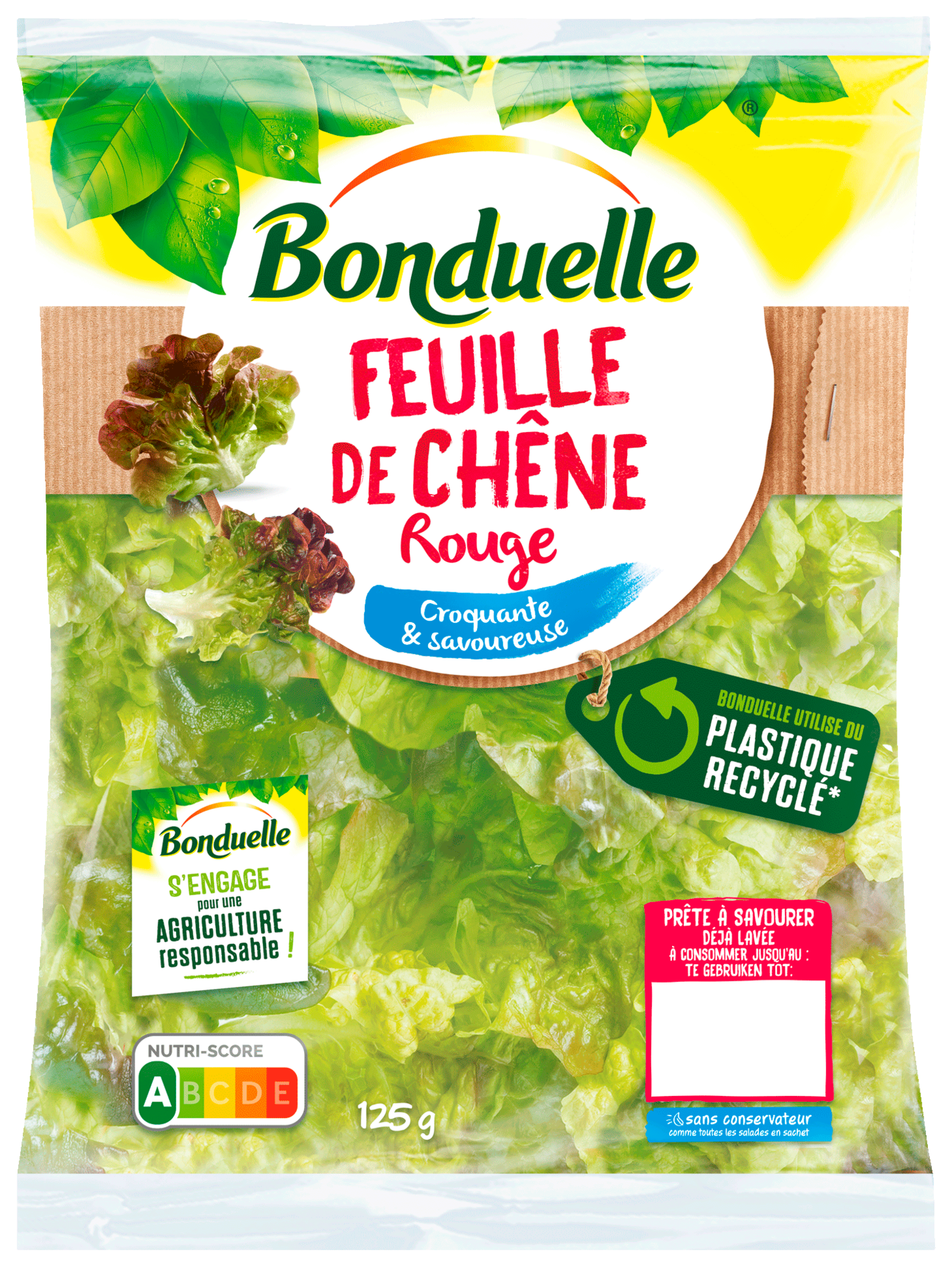 Feuille de chêne rouge
