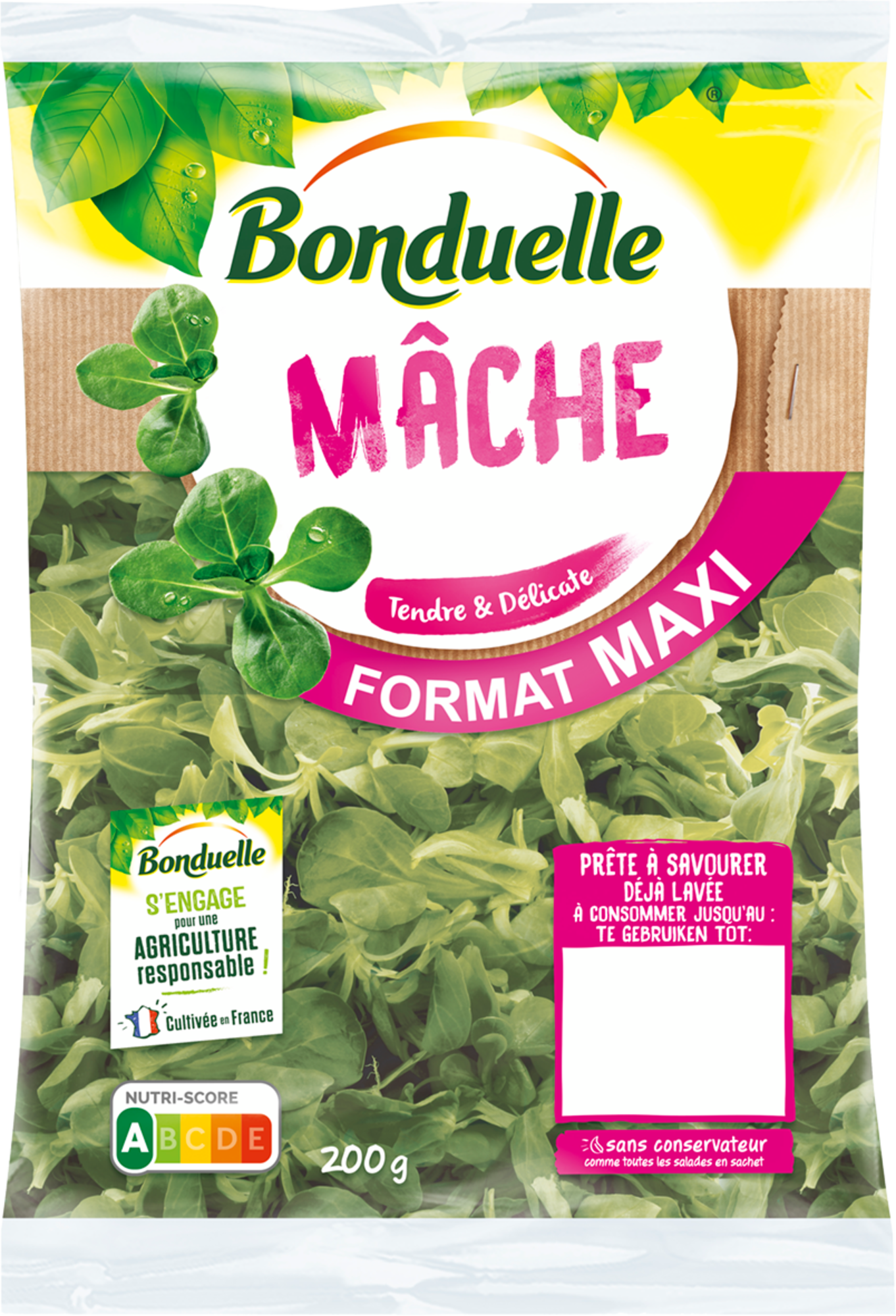 BONDUELLE Mâche format maxi code EAN 3083681150421 