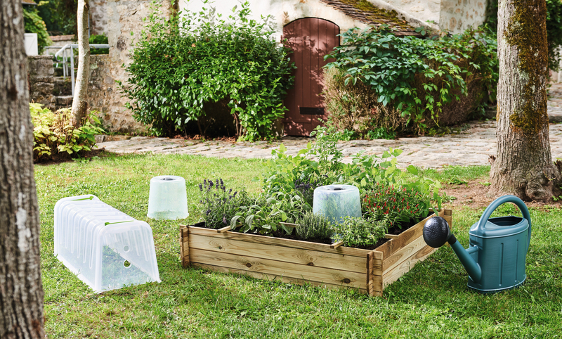 LOT DE 2 CLOCHES DE CULTURE EDA