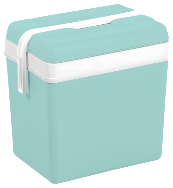 EDA GLACIERE 24 L "PROMOTION" VERT 
 code EAN 3086960259358 