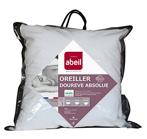 Oreiller classique dourêve absolu 60 x 60 cm