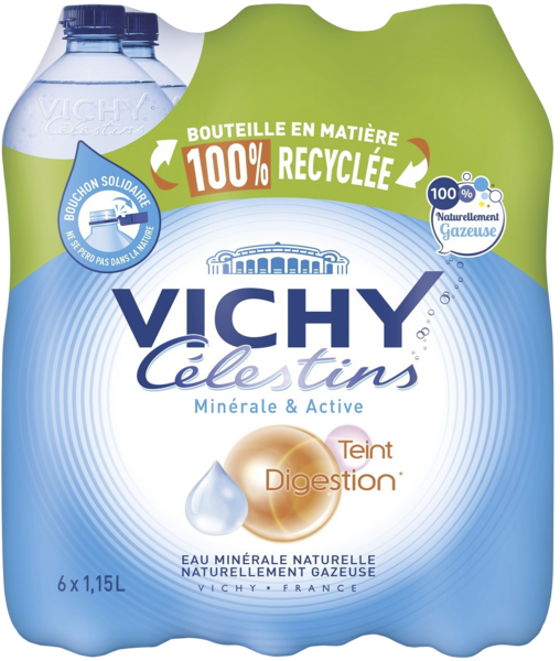  Eau Minérale Naturelle Gazeuse Vichy Celestins code EAN 3108022065506 