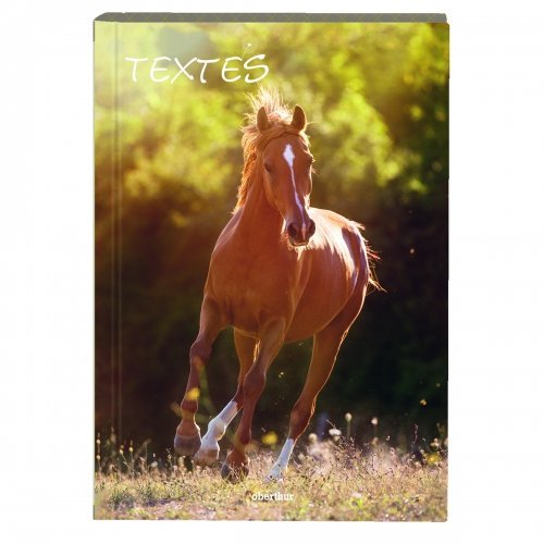 Oberthur OBERTHUR - 1 Agenda de textes CHEVAL NOIR - 17x22cm code EAN 3108720514320 
