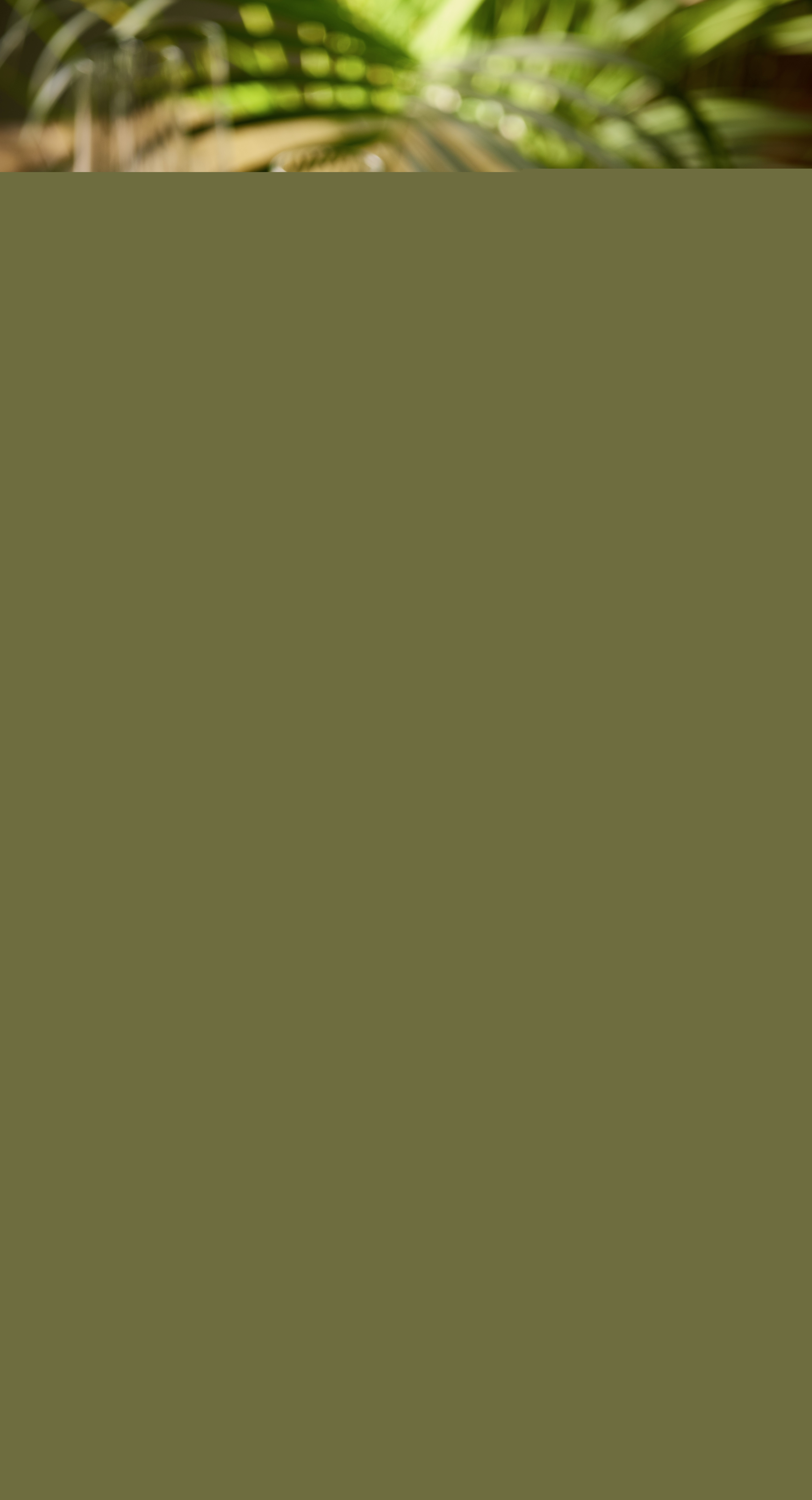 Alfred Rothschild Champagne brut collection Alfred Rothschild code EAN 3113916240624 