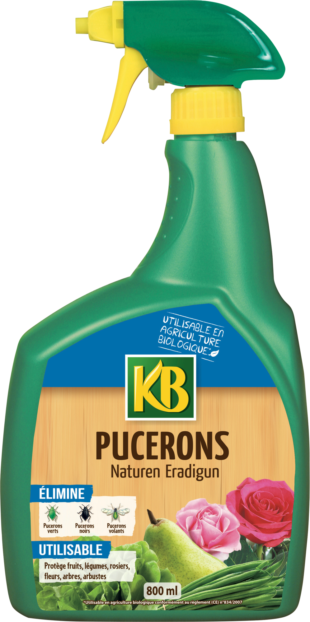 PUCERONS 