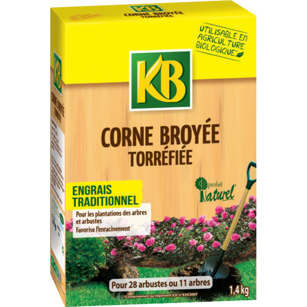 CORNE 1,4 KG 
