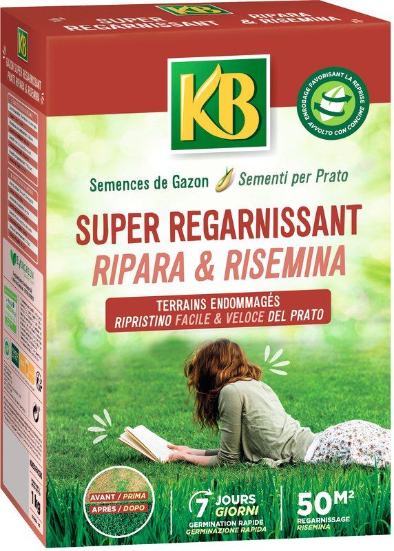 KB SEMENCES GAZON KB code EAN 3121970173536 