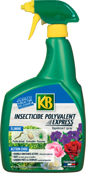  INSECTICIDE POLYVALENT   code EAN 3121970182637 
