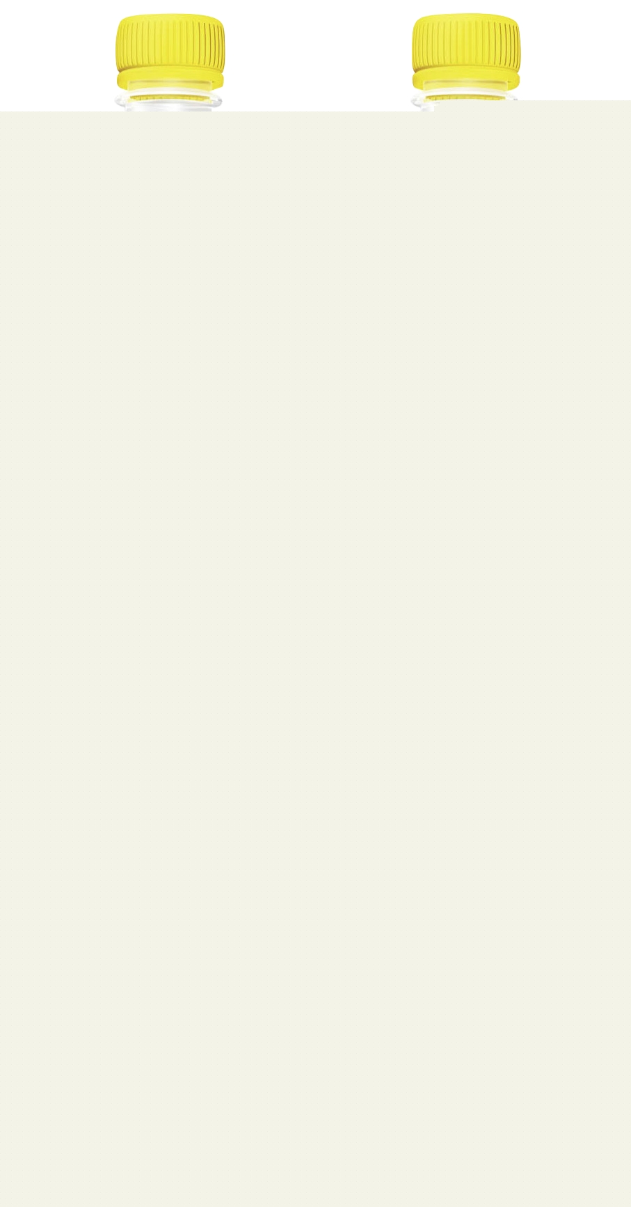 Boisson gazeuse indian tonic Schweppes