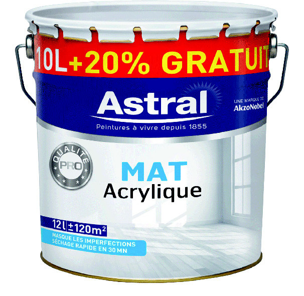  PEINTURE MURS ET PLAFONDS BICOUCHE(5)(6) code EAN 3133428964603 