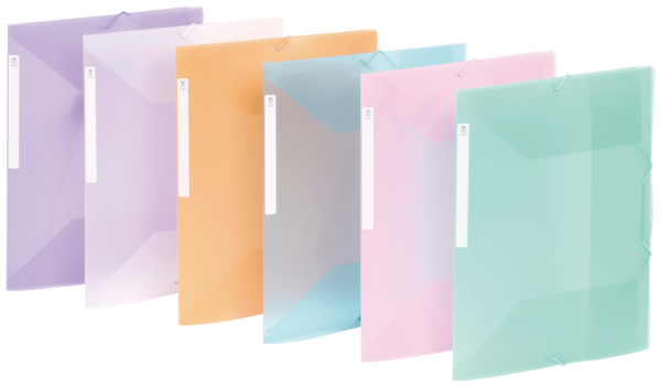 VIQUEL CHEMISE A ELASTIQUE A4 PROPYSOFT 
VIQUEL code EAN 3135251371351 