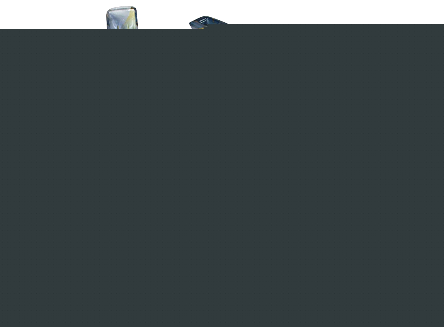  Pelle balayette avec décor "géométric" ou "jungle"  code EAN 3142765005016 