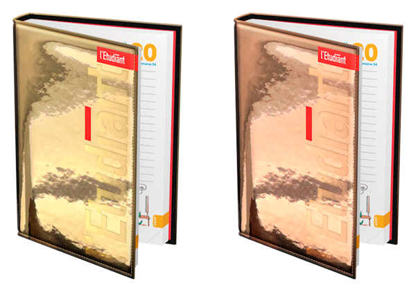 AGENDA 12X18CM COUSU OR 
L'ETUDIANT