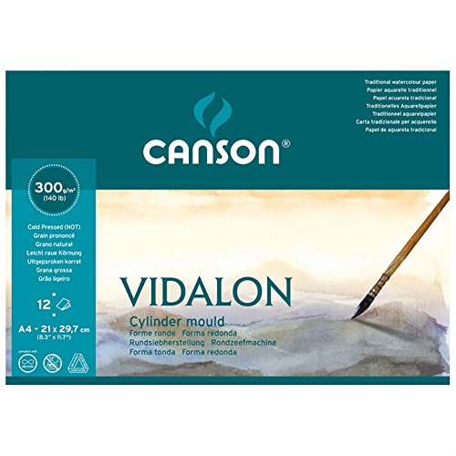 Vidalon bloc papier aquarelle 12 feuilles 300 g...