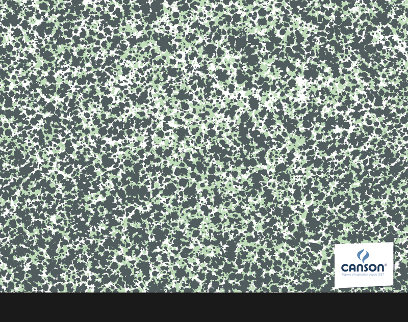 CARTON DESSIN 26X33 CM STUDIO CREATIVE CANSON