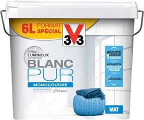 PEINTURE MURS ET PLAFONDS “BLANC PUR”(4)(6)