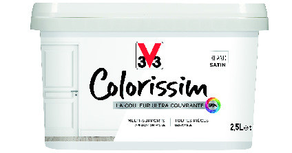 PEINTURE(1) “COLORISSIM”