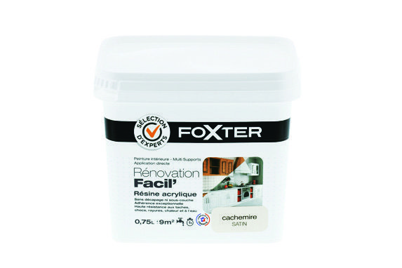  PEINTURE DE RÉNOVATION(1) “FOXTER” code EAN 3153895111836 