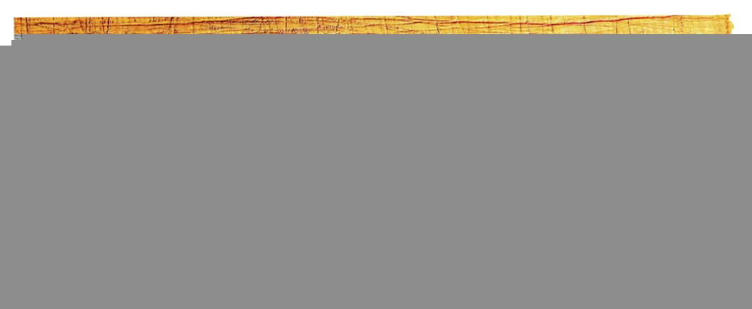 SAUCISSON CUIT À L'AIL herta