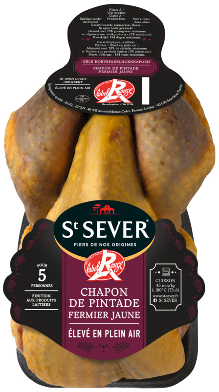 CHAPON DE PINTADE St Sever