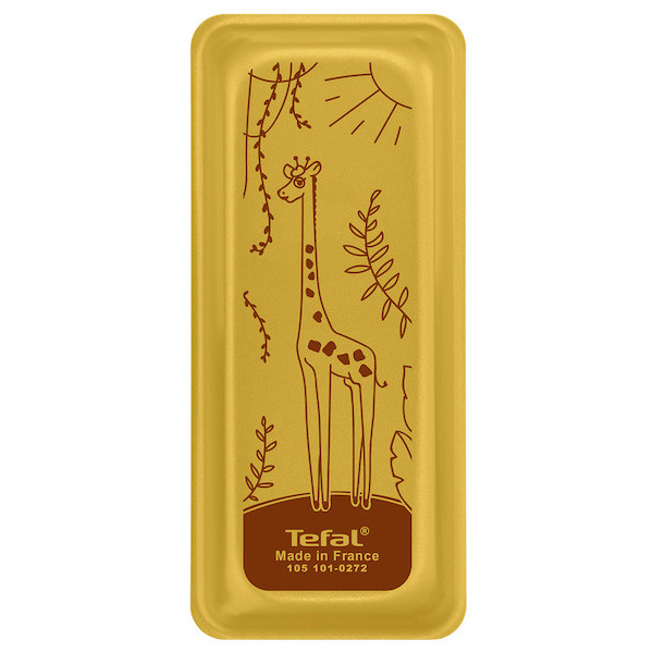 SUR LA GAMME DE MOULES SAVANE TEFAL