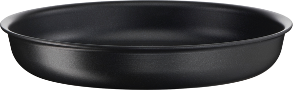  Gamme À Poignée Amovible Ingénio Éco Résist code EAN 3168430328419 