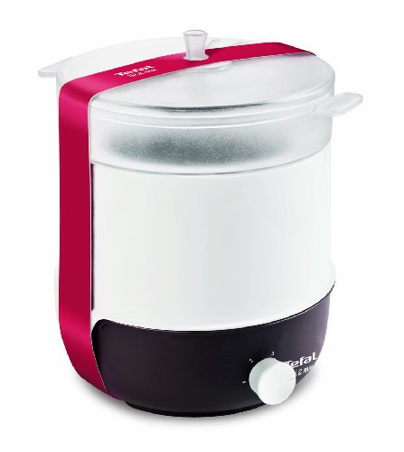 Ef501601 appareil 2en1 fondue & cuiseur vapeur ...