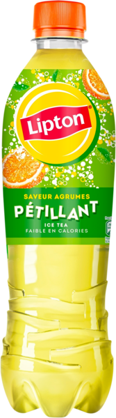  34% D'économie Sur La Gamme Lipton Pétillant code EAN 3168930178163 