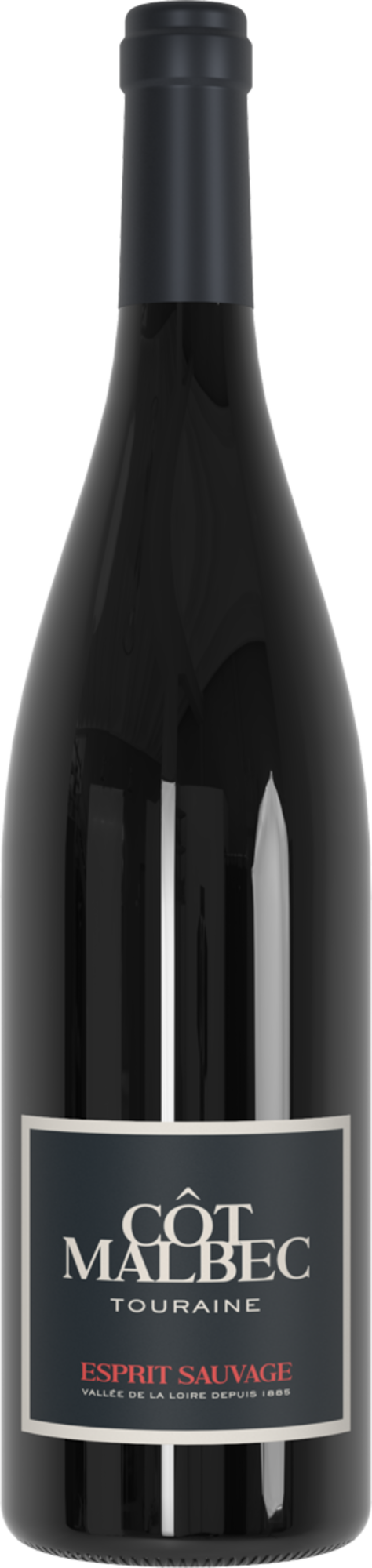 FAMILLE BOUGRIER - L'ESPRIT SAUVAGE 2022 AOP TOURAINE CÔT MALBEC
ROUGE code EAN 3172250003319 