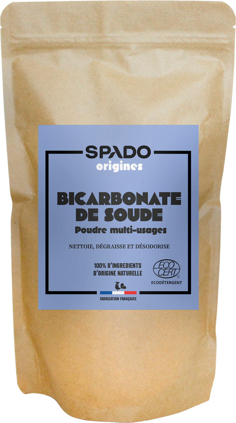 BICARBONATE DE SOUDE POUDRE 1KG 3172358352005 