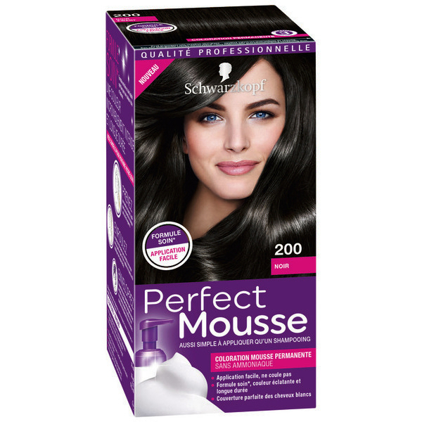 Coloration Perfect Mousse