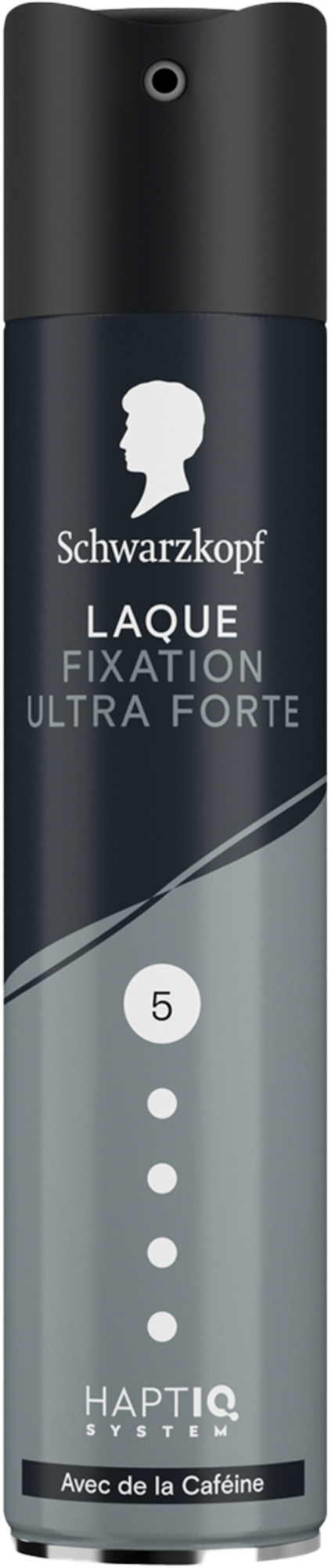 PALETTE DE SCHWARZKOPF LAQUE code EAN 3178041366700 