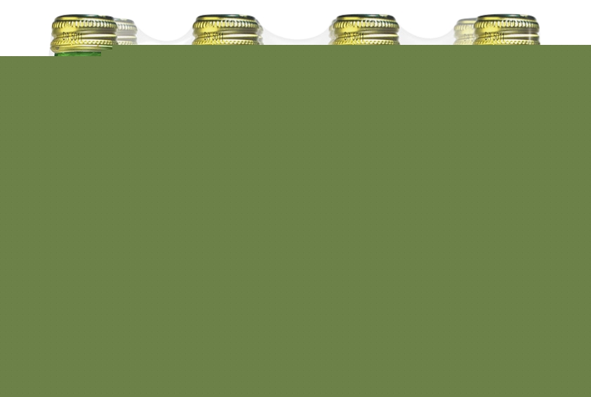 Perrier Eau minérale naturelle gazeuse Perrier 3179730107734 (3179730107734)