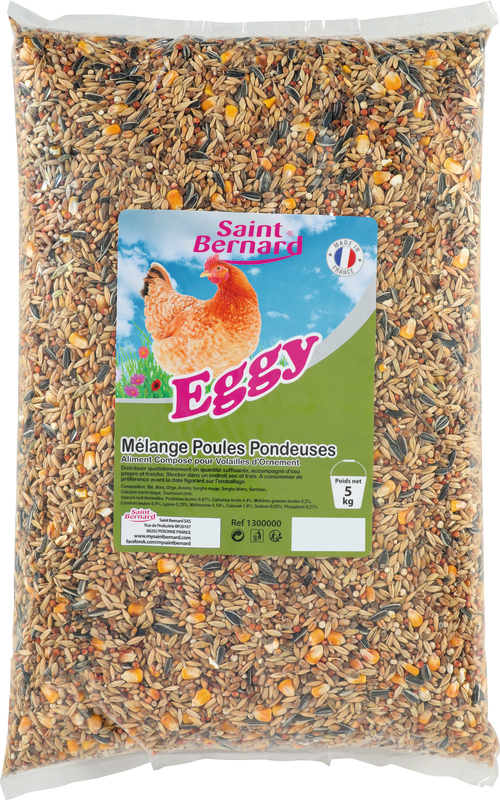 MÉLANGE POULES PONDEUSES SAINT BERNARD