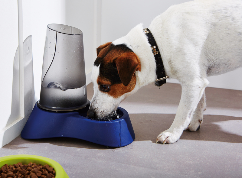 DISTRIBUTEUR ANTI DÉRAPANT CROQUETTES ET EAU Sa...