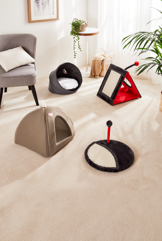 TENTE CHAT CACHE-CACHE SAINT BERNARD 3180196161109 SAINT BERNARD