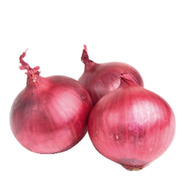  Oignons Cal 14/21 code EAN 3180501302029 