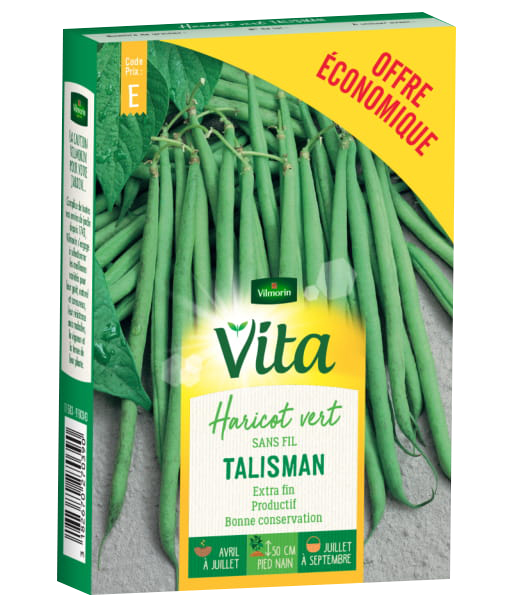HARICOT VERT
TALISMAN
