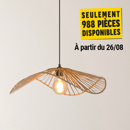  SUSPENSION SAHARA code EAN 3188000784230 