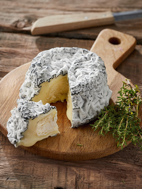 LE PETIT PIGOU CENDRE SEVRE ET BELLE