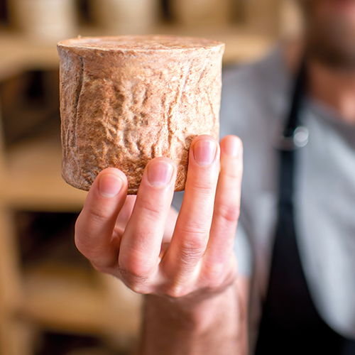 LES BERGERS DU LARZAC L’AGASSE TOME DE BREBIS BIO code EAN 3205875 