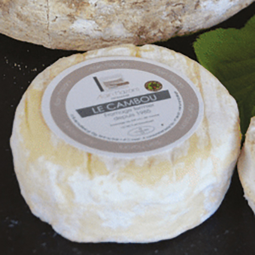 ALAIN MAZARS LE CAMBOU code EAN 3206355 