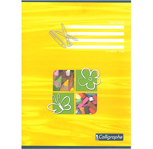 CLAIREFONTAINE Lot de 10 Cahiers de dessin 16 p...