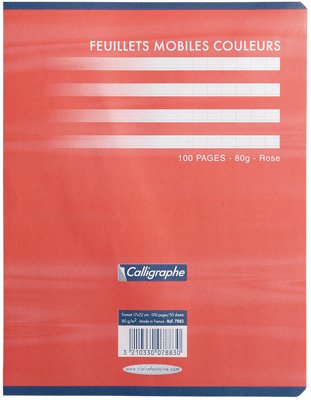 17 x 22 cm seyes papier rose 